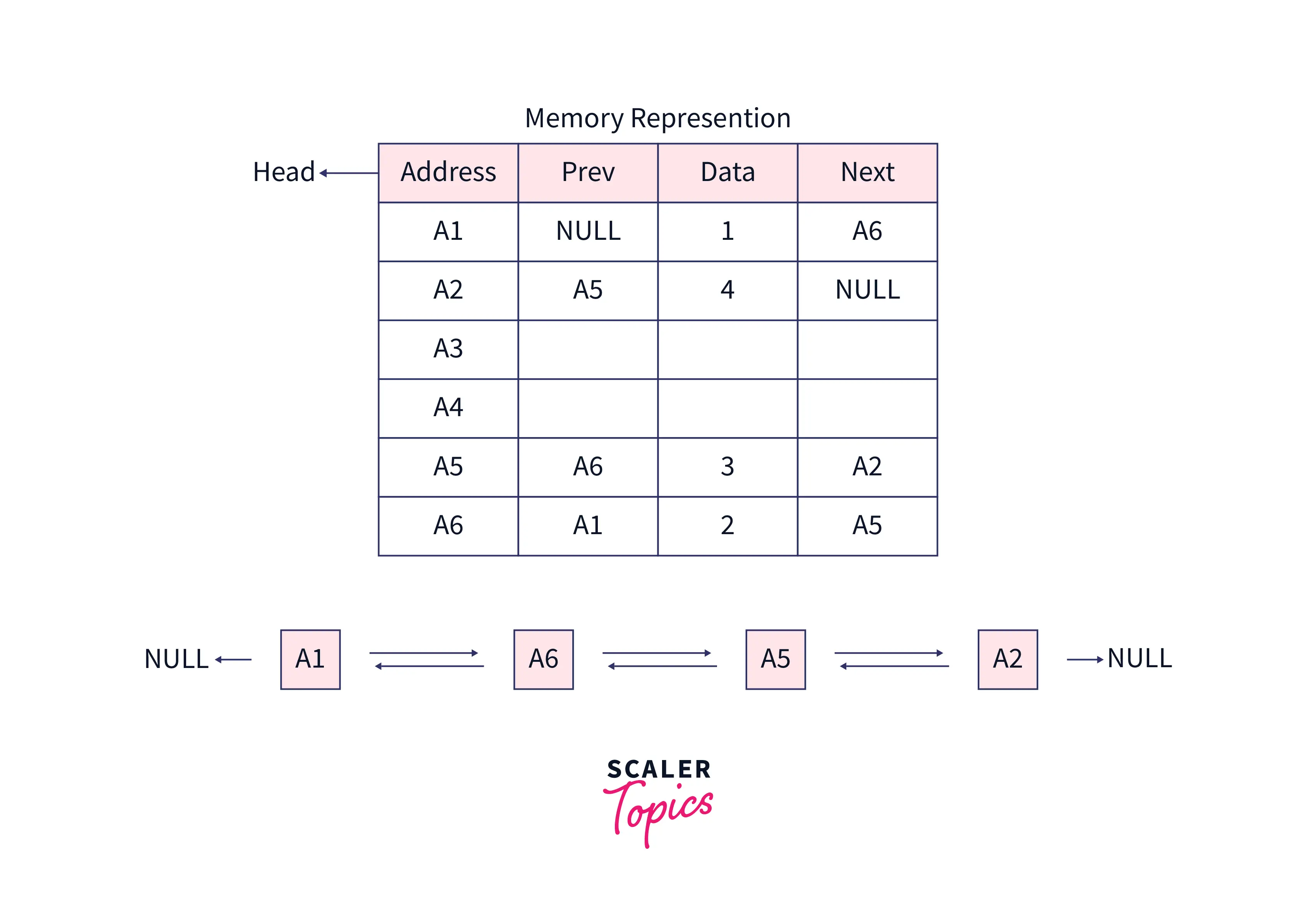 Memory Representation of a Doubly Linked List in C