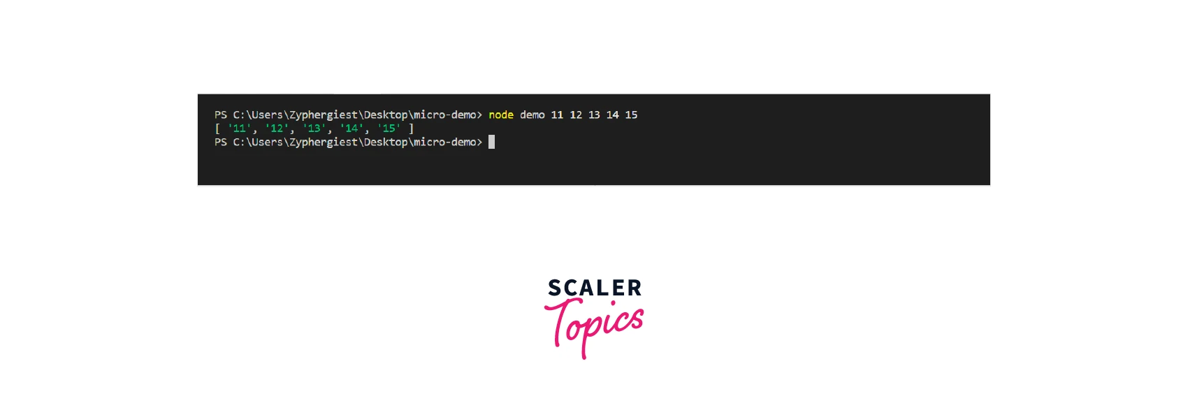 Accepting Arguments from the Node.js Command Line 2
