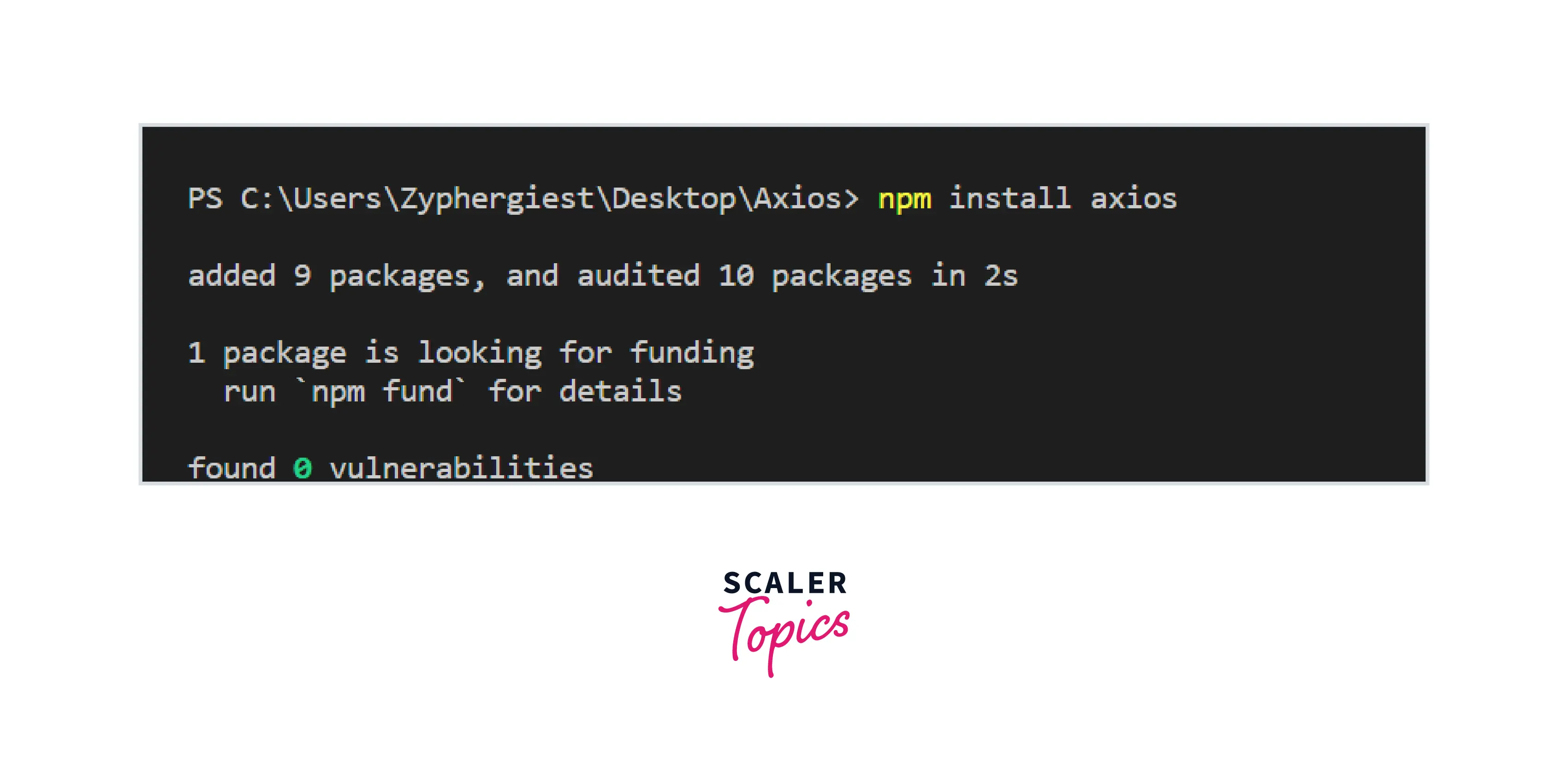 Install Axios Using NPM Package