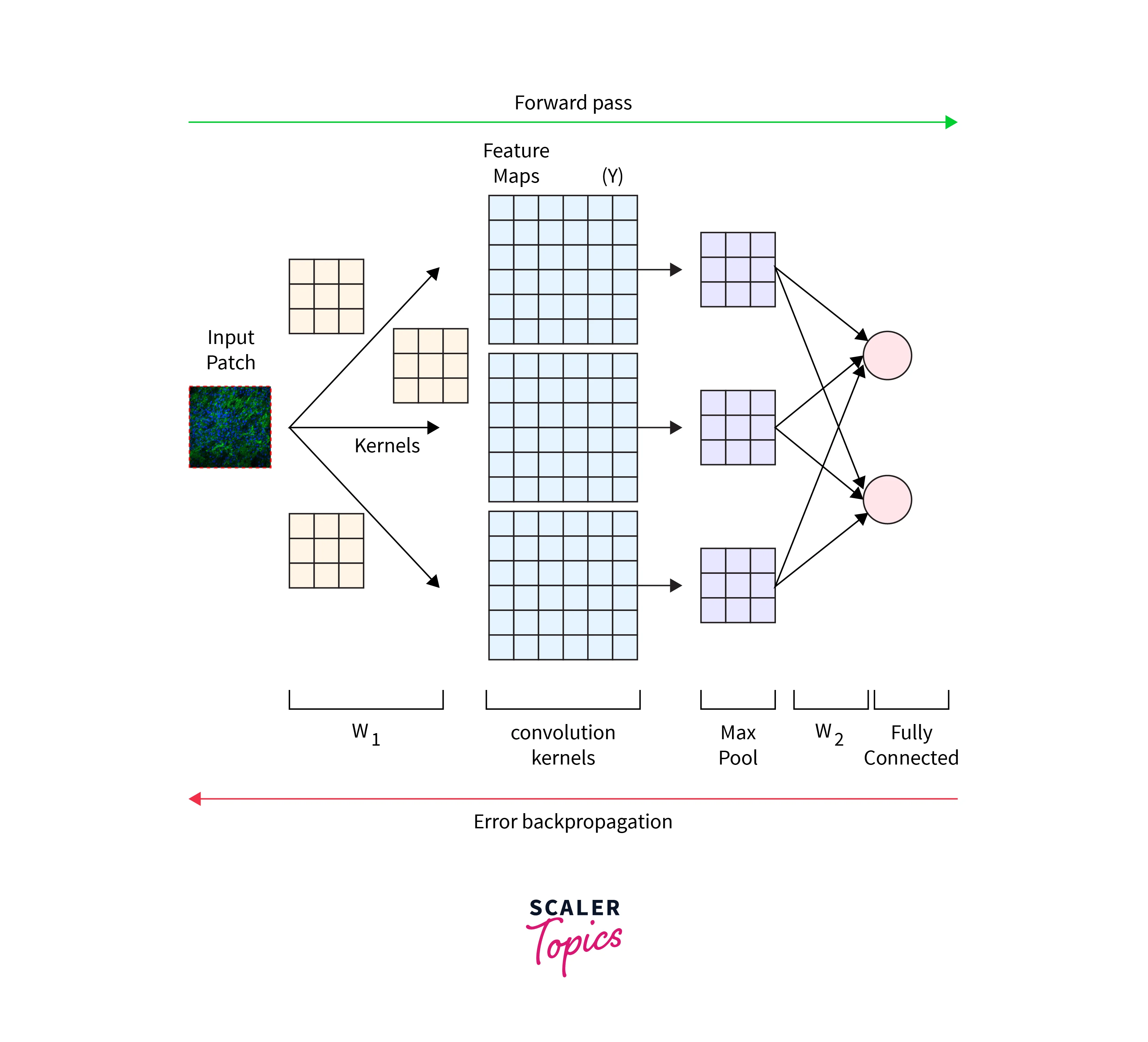cnn for image classification