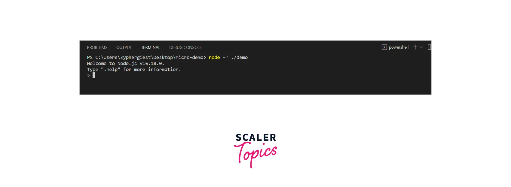 Common Node JS Command Line Options 5