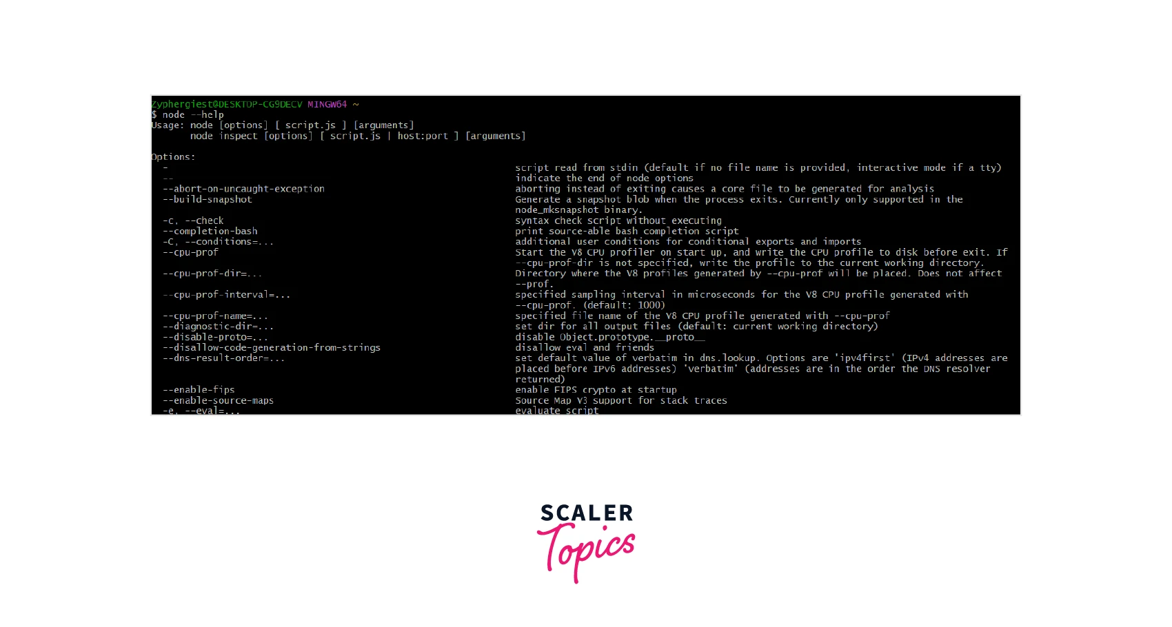Common Node JS Command Line Options