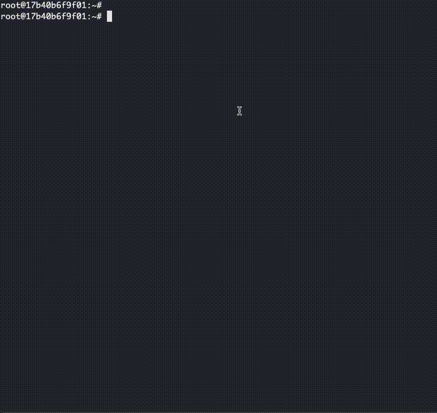 debugging process