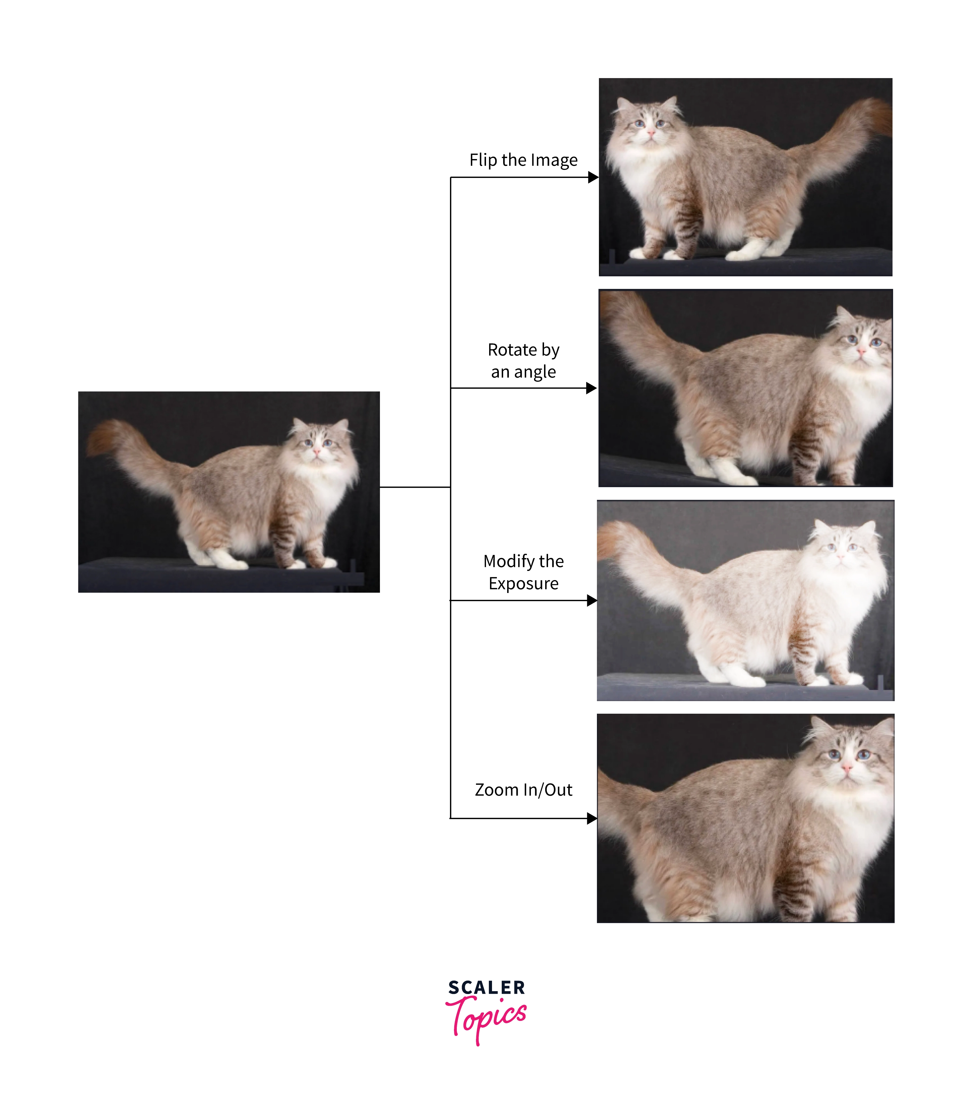 different-approaches-for-data-augmentation