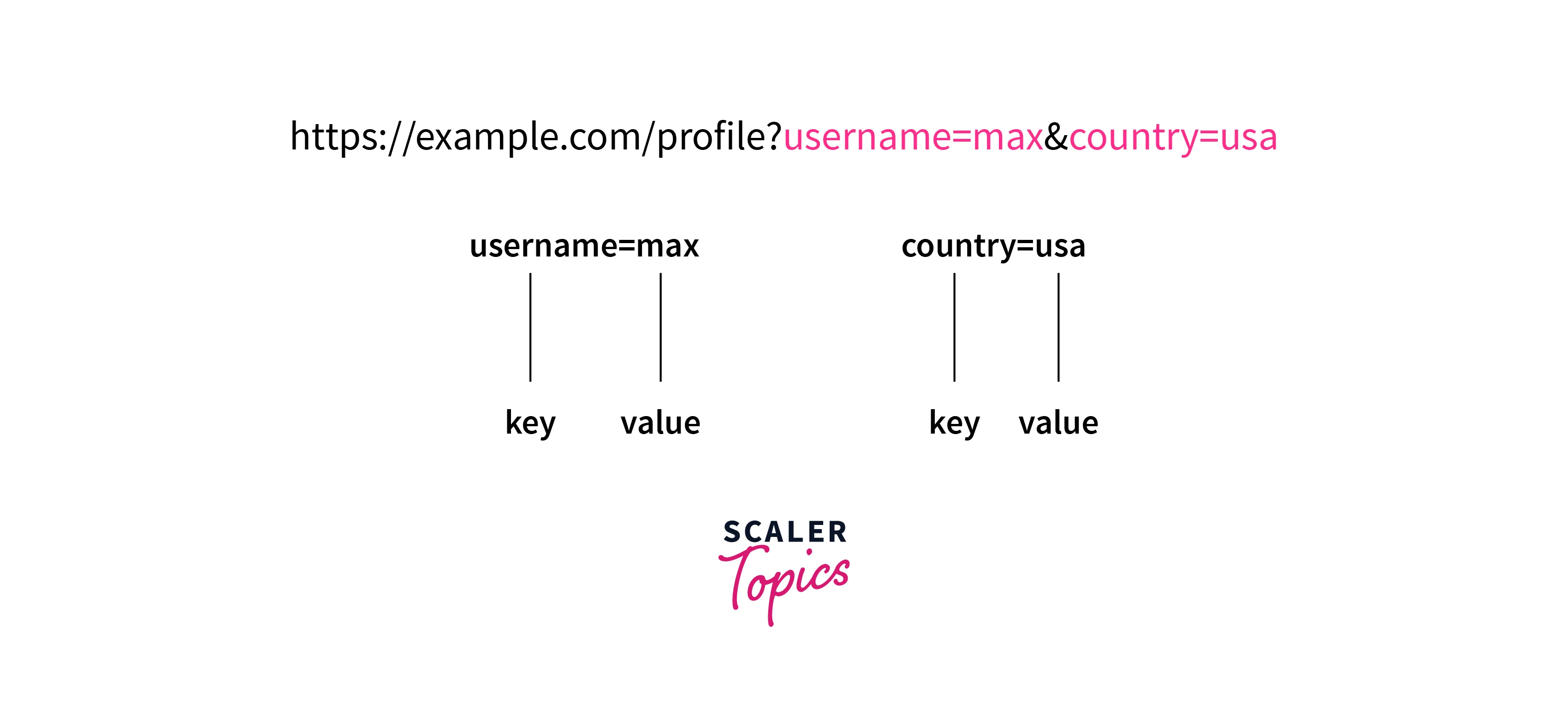 express query params