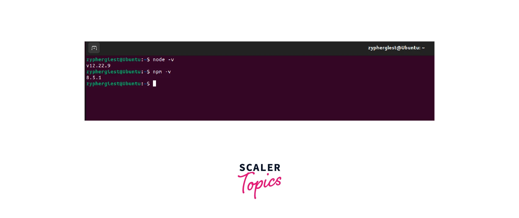 Installing Node JS using the command line