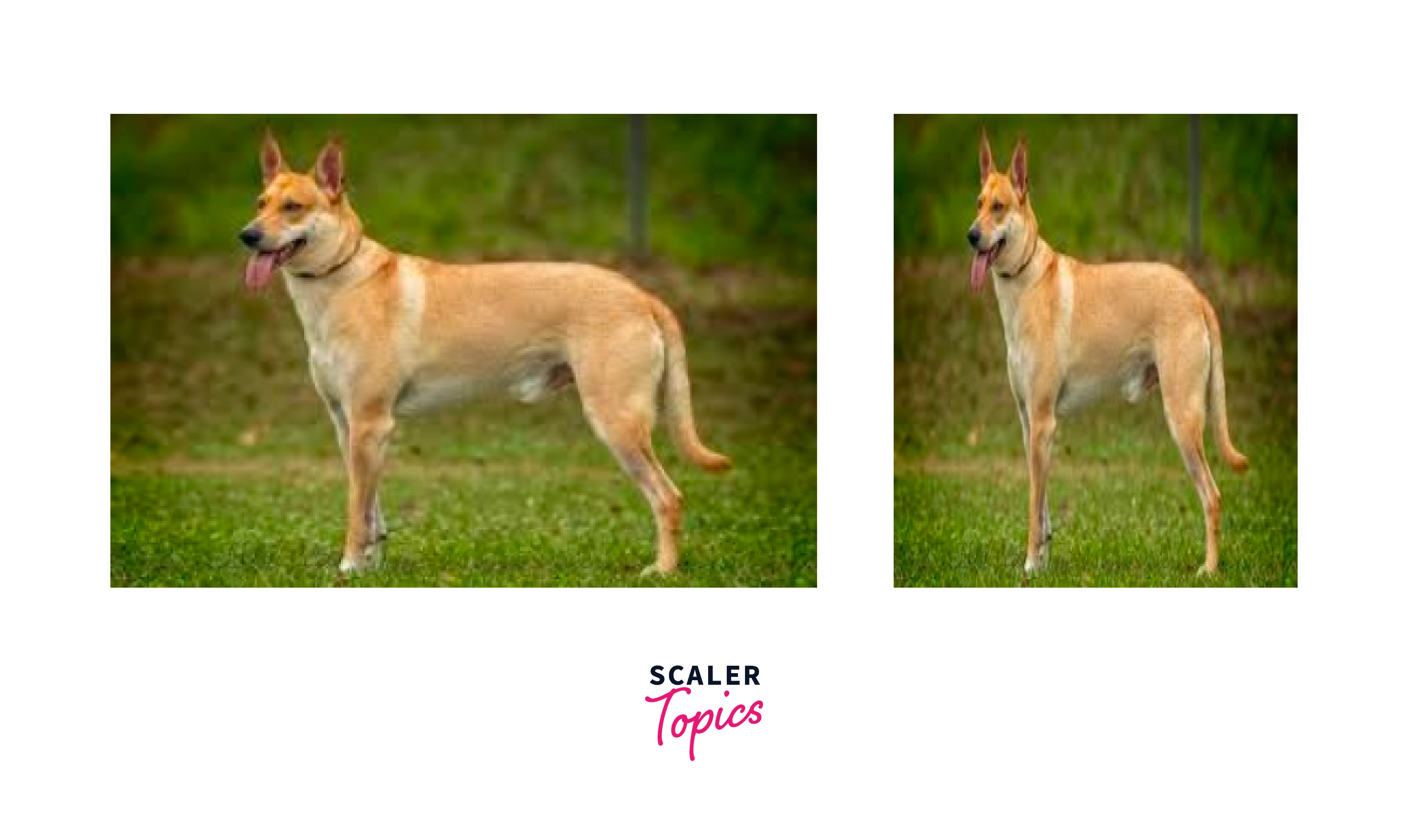 resize transformation