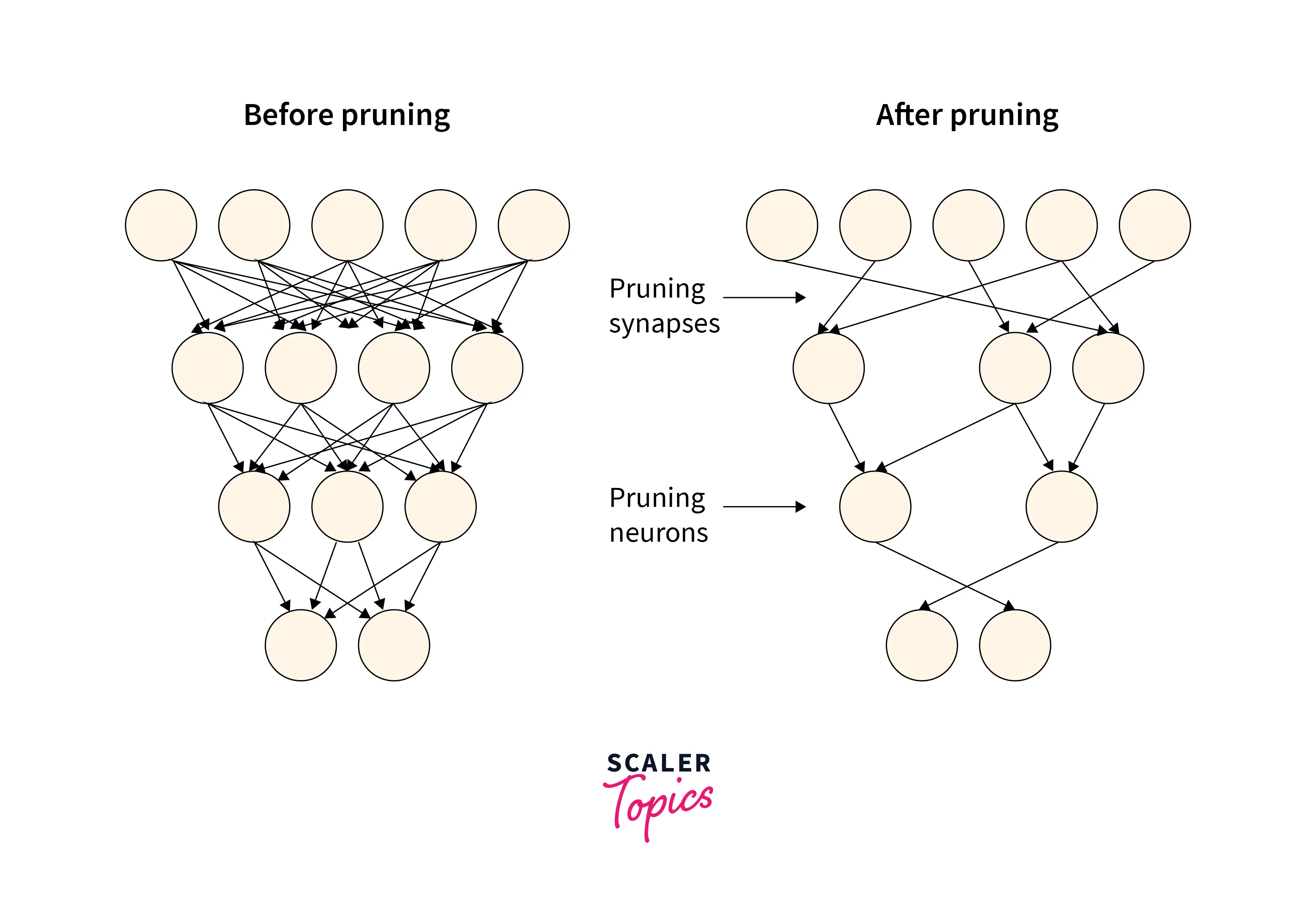 What is Pruning