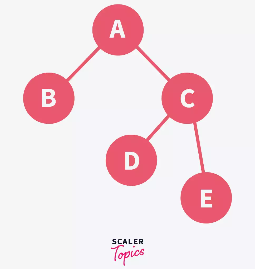 Binary Tree in Data Structure
