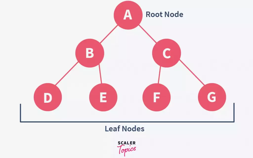What are Binary Trees
