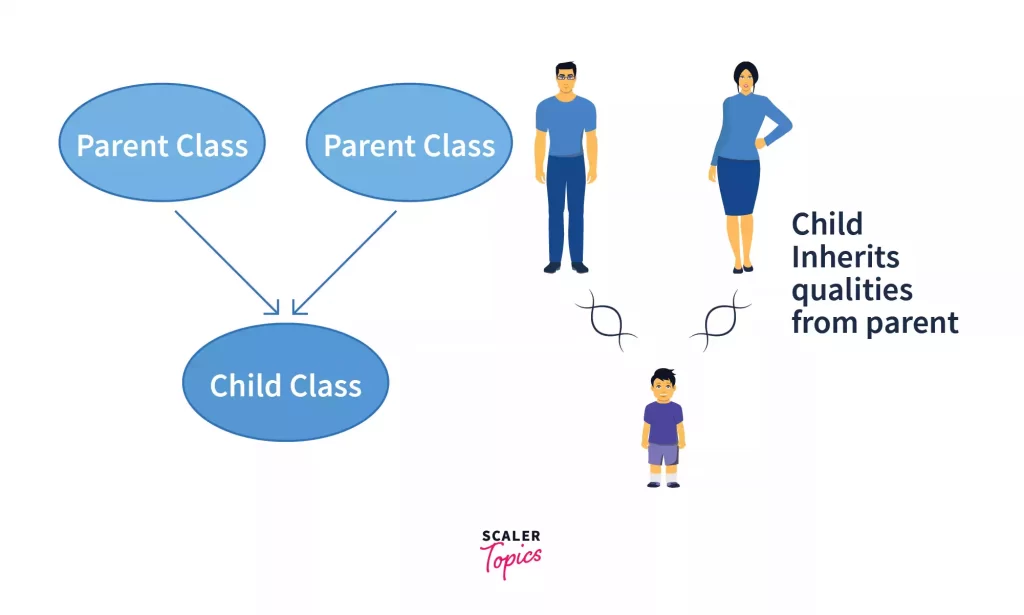 multiple inheritance in python